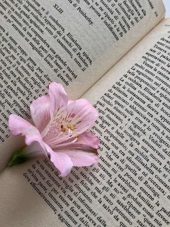 Aesthetic Healing: How to Make Self-Love Part of Your Creative Practice