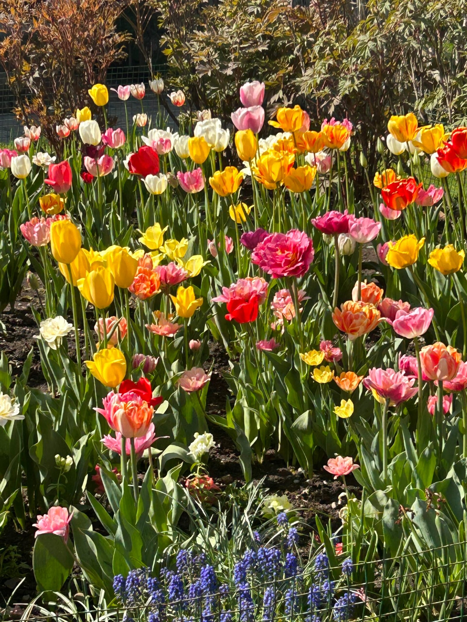 Fall in Love with Your Inner Artist Again (A Gentle Pep Talk)